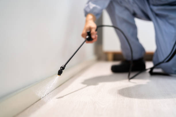 Licensed Pest Control service in Linden, MI - Show Me Pest Control
