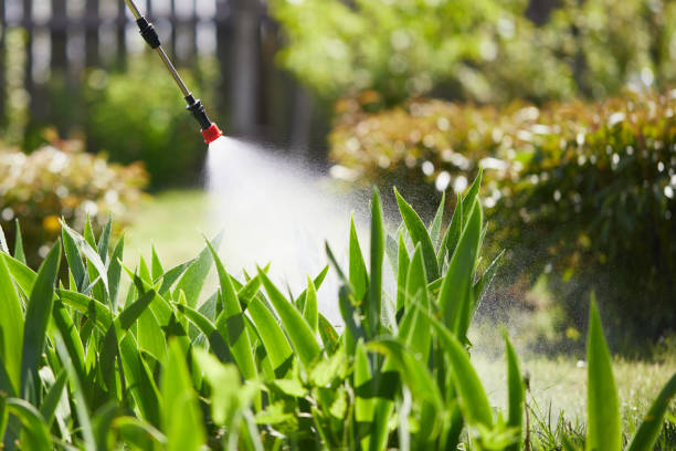 24/7 Emergency Mosquito Control experts in Linden, MI