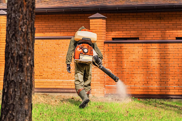 Top rated local Mosquito Control specialists in Linden, MI